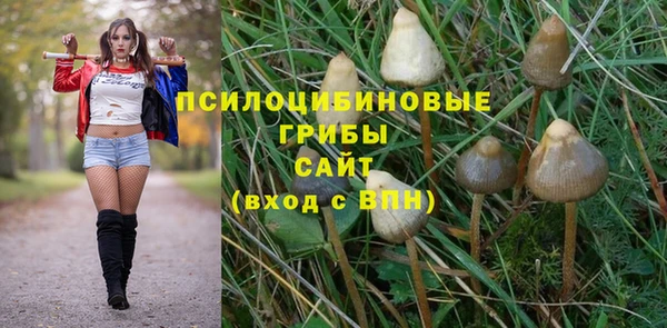 шишки Дмитров