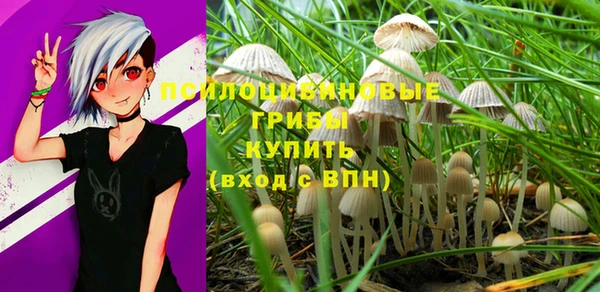 гашиш Дмитриев
