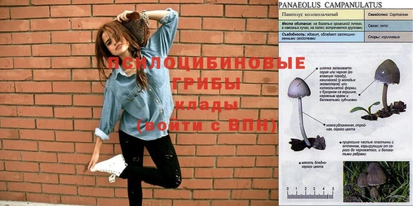 гашиш Дмитриев